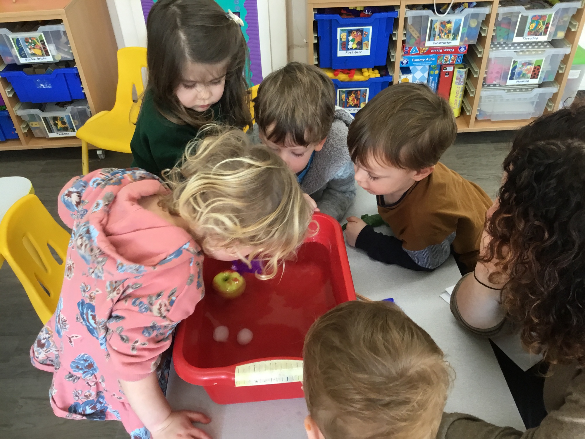 Children around a bowl of water containing objects to show floating and sinking